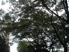 DSC00870 攝影：蔡瓊雯