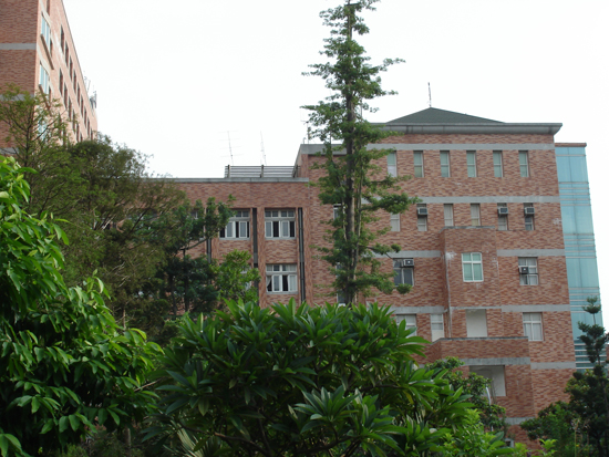 DSC04186