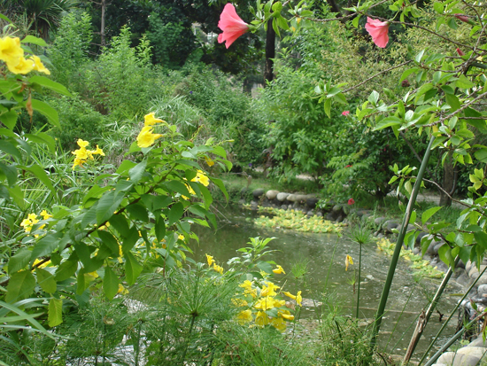 DSC04189