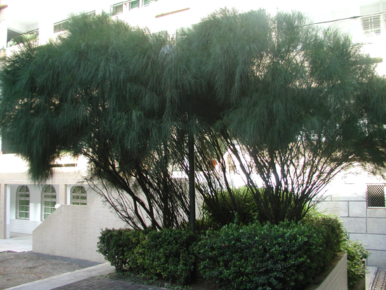 P1010041