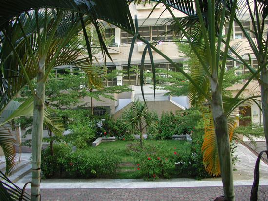 P1010042
