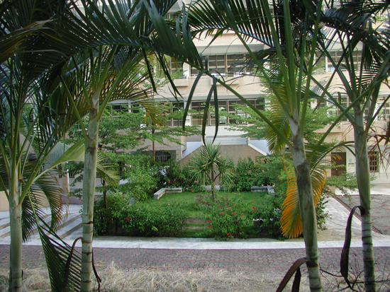 P1010043