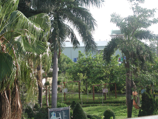 P1010048